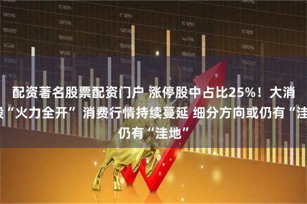 配资著名股票配资门户 涨停股中占比25%！大消费股“火力全开” 消费行情持续蔓延 细分方向或仍有“洼地”