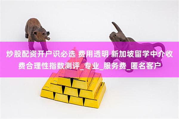 炒股配资开户识必选 费用透明 新加坡留学中介收费合理性指数测评_专业_服务费_匿名客户